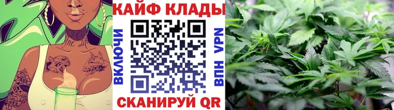 Все наркотики Вязьма Cocaine СК Канабис блэк спрут как зайти Меф