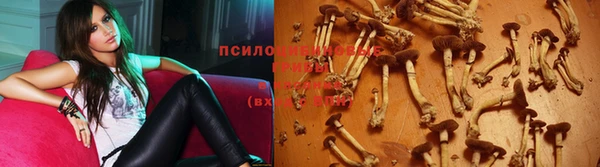марки nbome Балахна