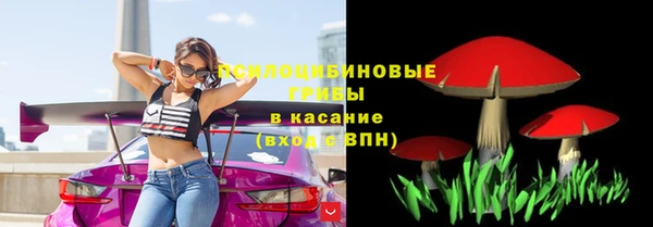 хмурый Слюдянка