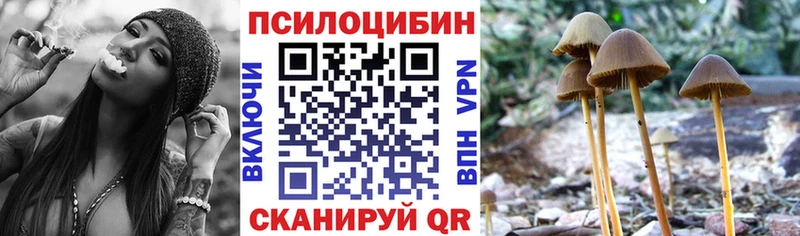 Псилоцибиновые грибы Psilocybine cubensis  хочу   Вязьма 